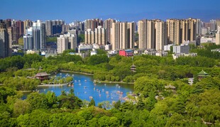 城市中绿意盎然的湖畔景观