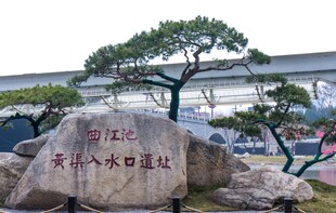 中式园林景石与松树景观