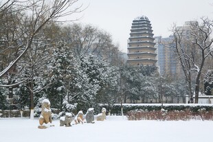雪中古塔景色