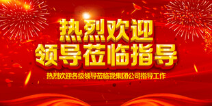 热烈欢迎领导莅临指导