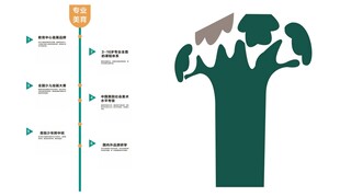 环保发展历程与行动