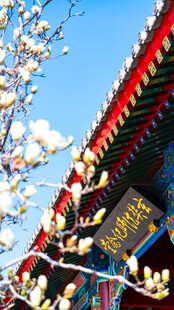 天津大悲禅院玄奘法师纪念堂