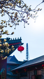 天津大悲禅院玉兰花摩天轮