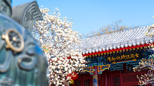 天津大悲禅院玉兰玄奘法师纪念堂