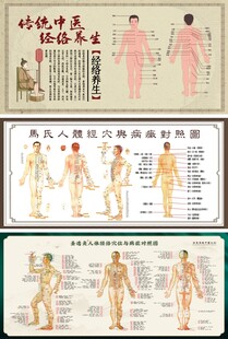 人体穴位图