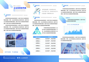 商务数据分析报告三折页