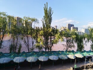 河畔绿植与停泊船只景观