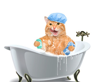 猫咪惬意享受泡泡浴