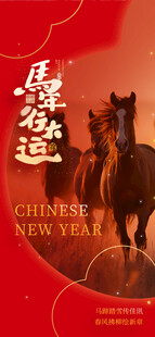 马年行大运海报