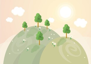 山坡上的树木与阳光美景