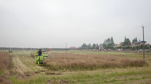 田野中的农机作业场景