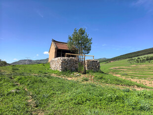 山间小屋独树伴绿野