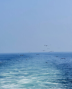 海上风光
