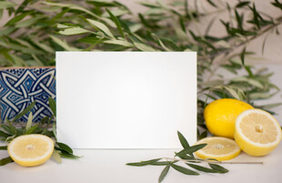 柠檬绿植旁的空白展示板