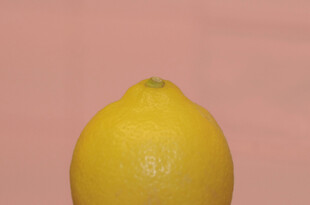 柠檬