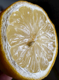 柠檬