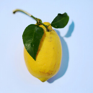 柠檬