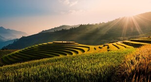 山间梯田迎日出美景