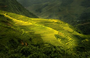山间绿野