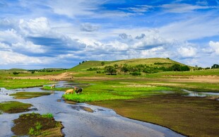 草原湿地风光美景