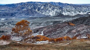 秋日雪山下的多彩山林