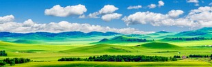 广袤草原风光