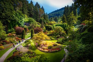 美丽山间花园景观