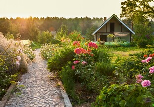 田园小屋旁的美丽花径
