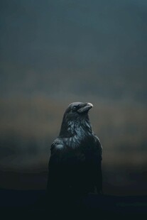 孤独身影于暮色中守望
