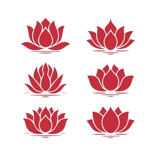 红色荷花合集