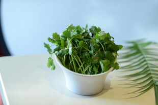 芫茜香菜
