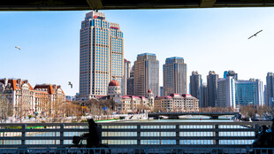 天津金钢桥城市现代建筑景观