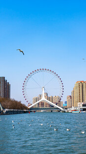 天津之眼湖畔摩天轮与飞翔海鸥