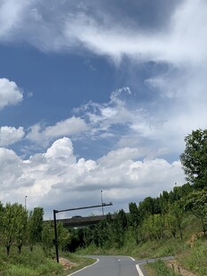 夏日野外