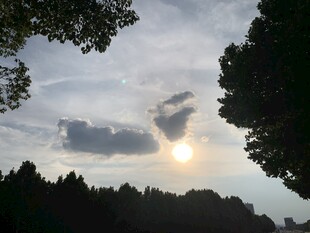 傍晚的光 