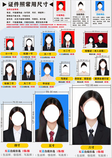 证件照展示