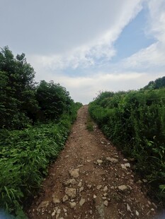 乡间碎石小径