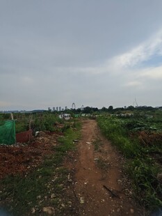 乡间土路