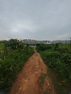 乡间土路