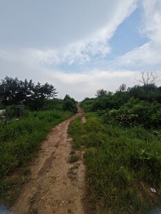 乡间土路