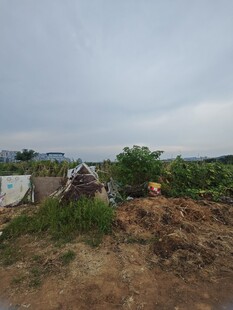 乡村田野景象