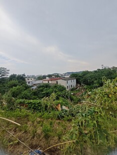 乡村绿野中的房屋景观