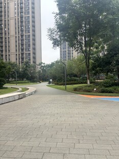 城市中的静谧休闲步道