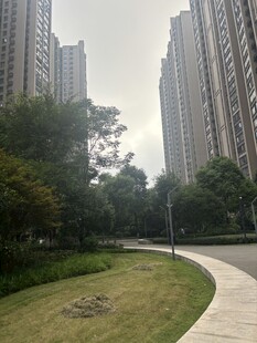 城市住宅区的绿意小径