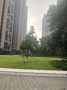 城市中的静谧绿地景观