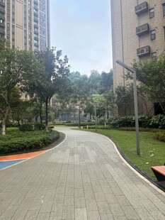 小区内的优美蜿蜒步道