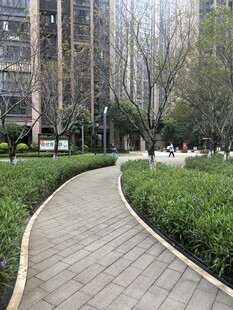 城市中的静谧园林小径