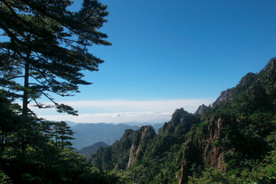 壮美山峦间的葱郁景致