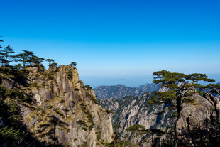 黄山奇峰与苍松美景