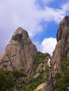 巍峨山峰与葱郁植被景观